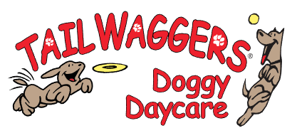 Tailwaggers Doggy Daycare