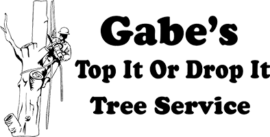 Gabe's Top it or Drop Tree Service